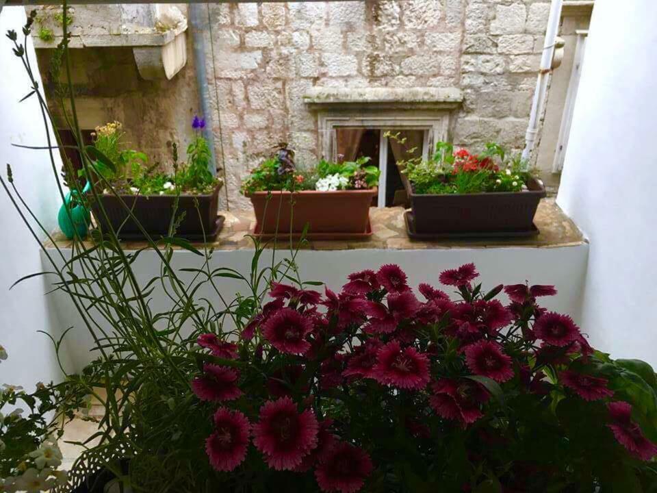 Puntin Rooms Sobe Korčula Eksteriør billede